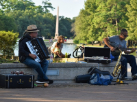 Introducción al Desarrollo de Videojuegos con Unity