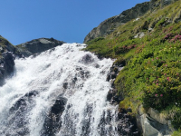 Curso de Introducción a Plataformas SaaS