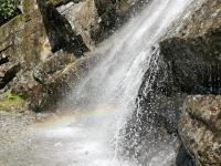 Curso de Integración de API en Plataformas SaaS