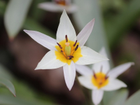 Seguridad en sistemas Linux