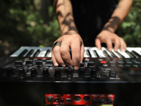 Administración de Hosting en Apache y Nginx