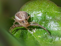 Optimización de Código Frontend para Aplicaciones Web