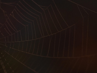 Seguridad en Aplicaciones Web y Optimización de la Protección de Datos