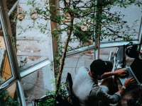 Curso Introducción al Procesamiento de Lenguaje Natural