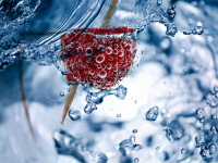 Construcción de un Robot con Raspberry Pi