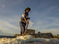 Programación de PLCs en la Industria