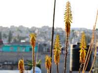 Curso Práctico de Trial Urbano para Principiantes