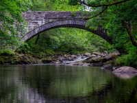 Telemetría y estrategias de combustible en automovilismo