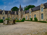 Técnicas de gestión de neumáticos para carreras de resistencia