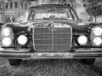 Curso de neumáticos y suspensión en autos de rally