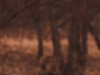 Inversión en la Bolsa de Valores