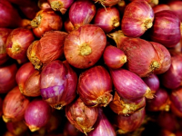 Productividad 4.0: optimización digital