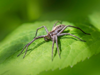 Curso de Fotografía de Paisajes