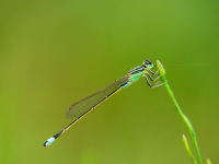 Fotografía de Moda: Estilo y Creatividad