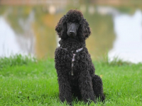 Curso de Fotografía Macro