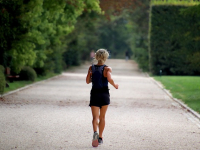 Coaching Ejecutivo: Liderazgo y Desarrollo de Competencias Directivas