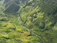 Mindfulness para afrontar la ansiedad