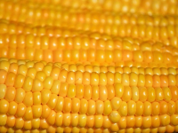 Nutrición para deportistas