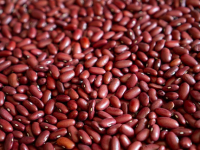 Alimentación vegetariana y vegana