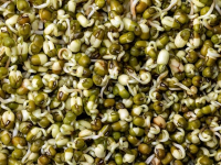 Nutrición para la salud del corazón