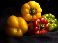 Nutrición y embarazo