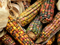 Decoración Sostenible: Eco-friendly en el Hogar