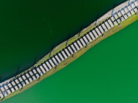 Introducción a la Arquitectura