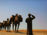 Animación de Personajes en Toon Boom