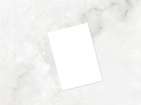 Introducción al Ecommerce