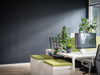 Gestión Financiera para Emprendedores