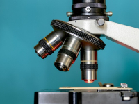 Biotecnología en la industria alimentaria