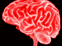 Neurociencia y Salud Mental