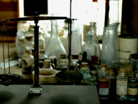 Genómica Funcional y Bioinformática