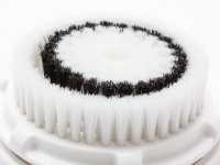 Dermatología clínica: diagnóstico y tratamiento