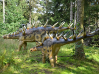 Introducción a la Paleontología