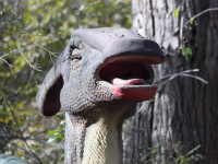 Paleontología y la era de los dinosaurios