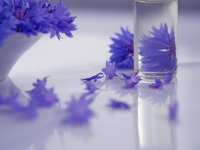 Curso de Cosmetología Básica