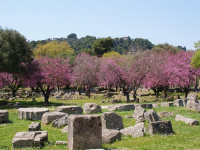 Introducción a la arqueología