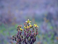 Curso de Maquillaje Profesional
