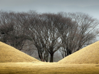 Arqueología egipcia