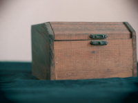 Genealogía y Heráldica: Descubre tu Legado Familiar