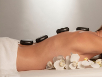 Fundamentos de Kinesiología