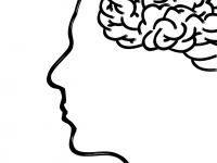 Curso de Evaluación en Psicometría Clínica