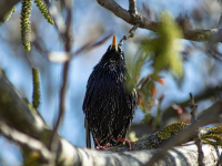 Introducción al ecoturismo