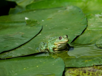 Turismo en áreas protegidas