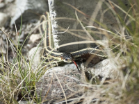 Turismo de aventura y ecoturismo