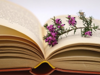 Introducción a la Taquigrafía Pitman