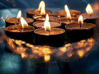 Biocombustibles en la Agricultura