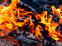 Biocombustibles y Desarrollo Sostenible