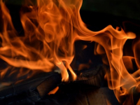 Biocombustibles y Cambio Climático